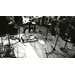 ROBBIE SEAY BAND